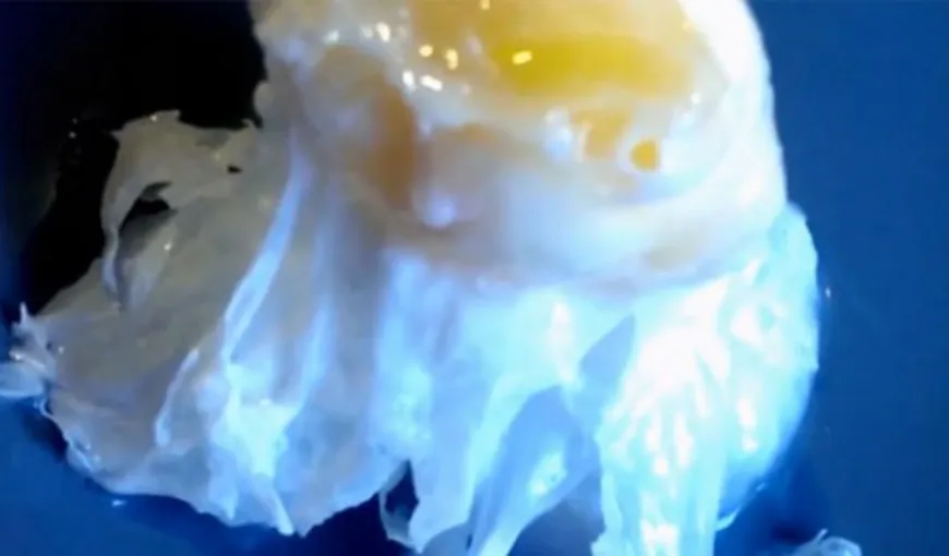 Sigur nu ştiai asta: Ce se întâmplă dacă spargi un ou la -73 de grade Celsius VIDEO