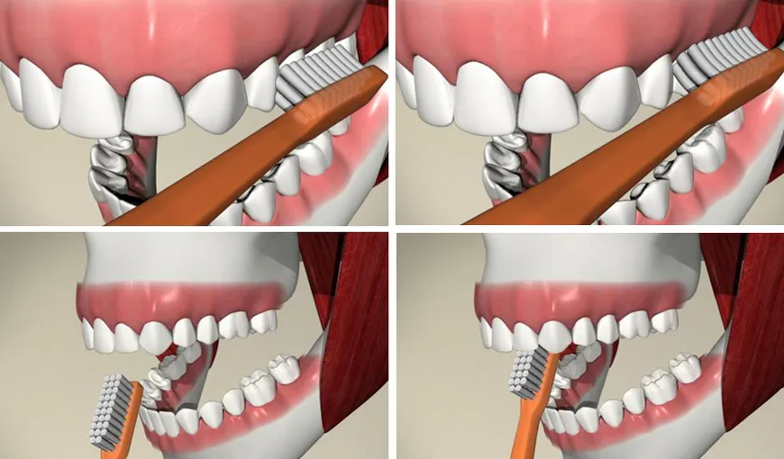 VIDEO: 9 greşeli de igienă dentară: cum să te speli corect pe dinţi