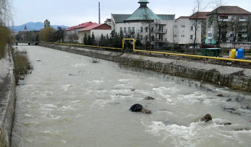 Râul Săsar, poluat accidental cu ape de mină