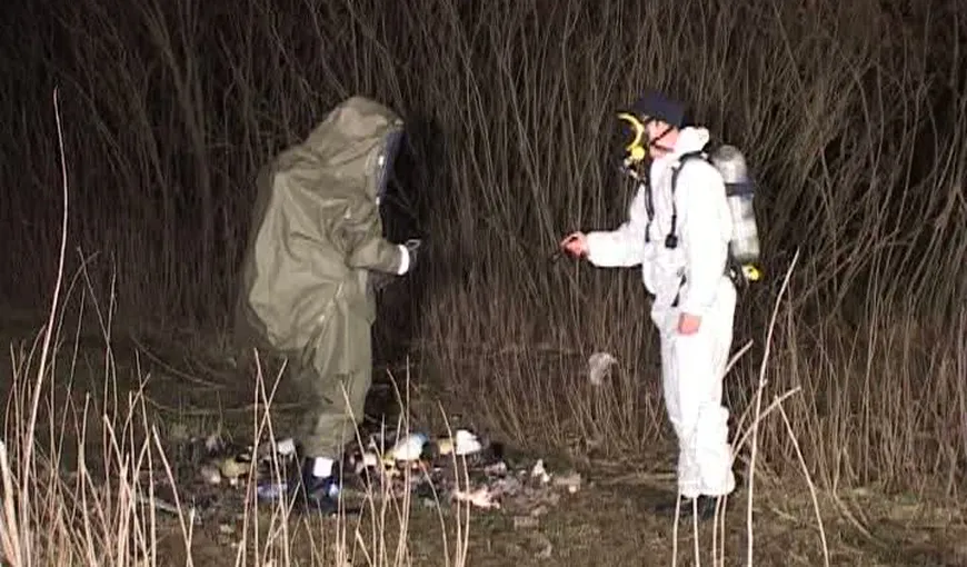 Judeţul Arad, plin de deşeuri toxice: Noi substanţe periculoase, descoperite pe DN7