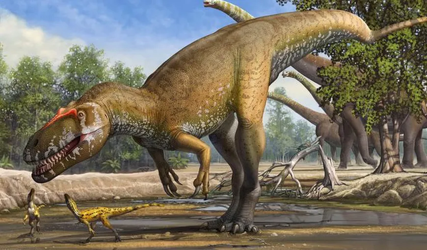 Cel mai mare dinozaur carnivor din Europa, descoperit în Portugalia
