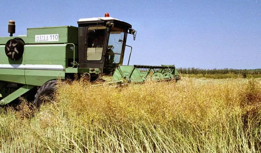 PDL propune o lege privind neimpozitarea veniturilor agricole
