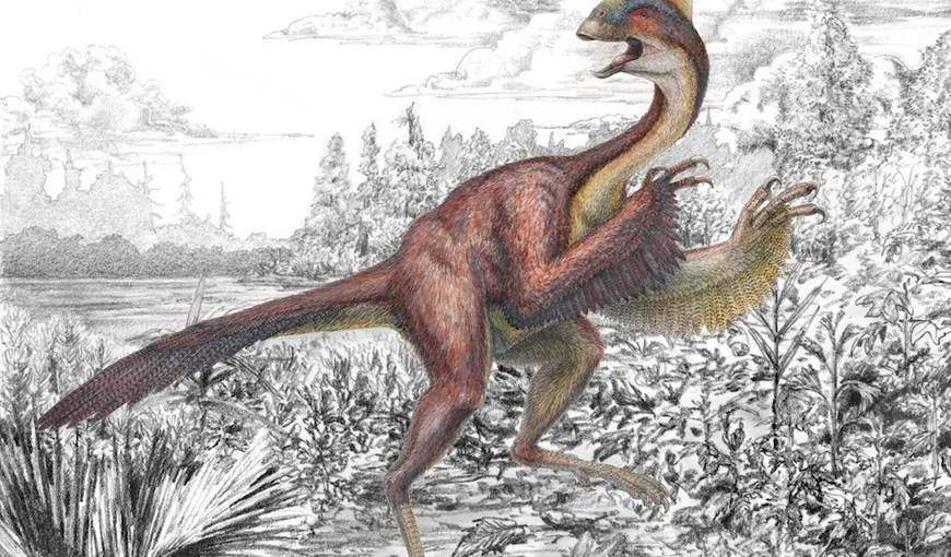 „Găina din iad”: A fost descoperit un nou dinozaur înspăimântător