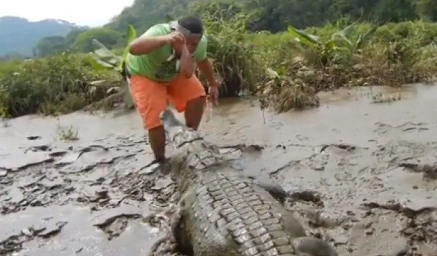 Imagini care îţi taie respiraţia: Cum hrăneşte un bărbat un crocodil uriaş VIDEO
