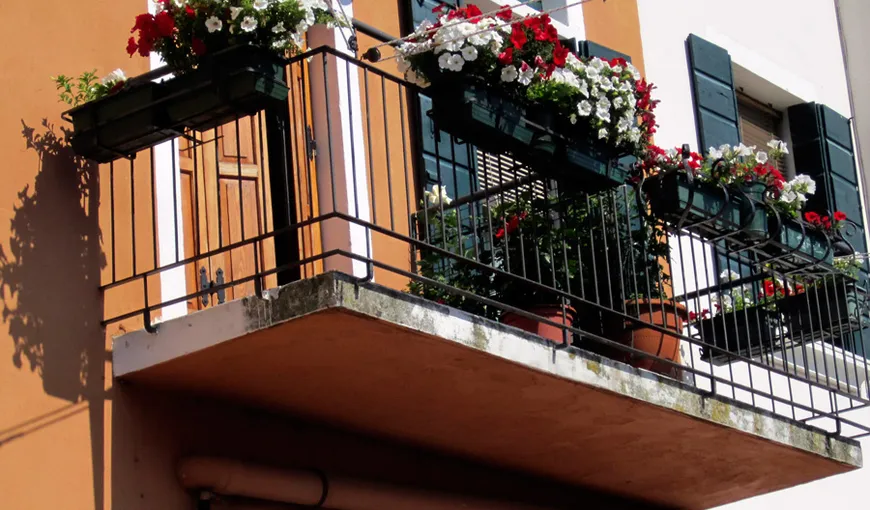 10 sfaturi de la specialiştii în peisagistică pentru grădina de flori din balcon