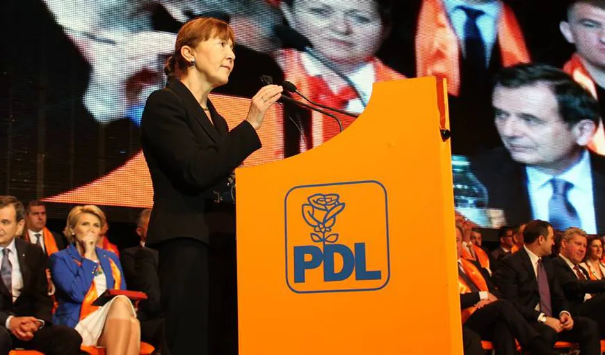Macovei: Să câştigăm alegerile pentru ca dreapta să se facă în jurul PDL