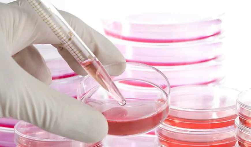 România va avea acces şi în acest an la registrul internaţional al donatorilor de celule stem hematopoietice