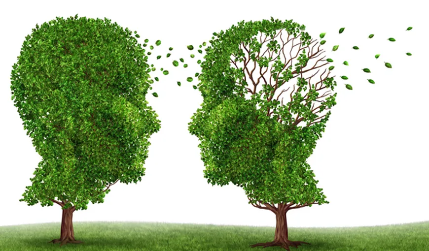 Cercetătorii au reuşit să oprească pierderea memoriei în faza iniţială a maladiei Alzheimer
