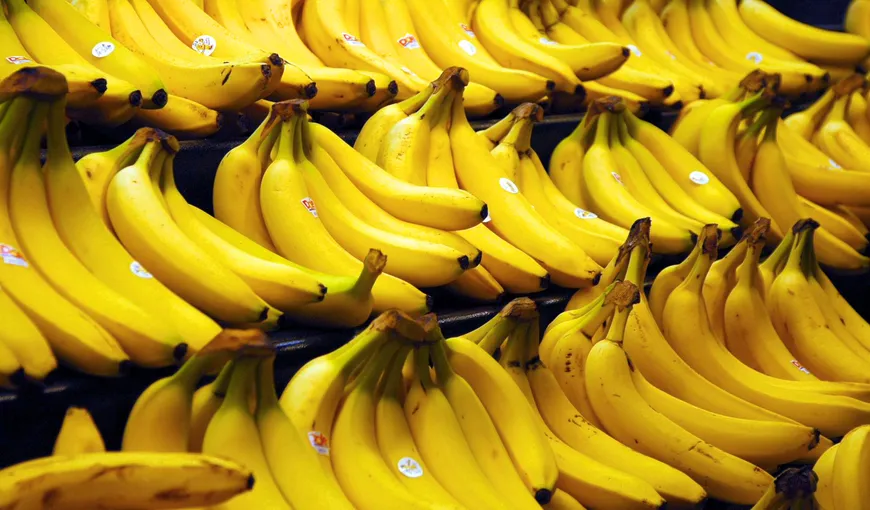 Bananele modificate genetic ar putea schimba lumea