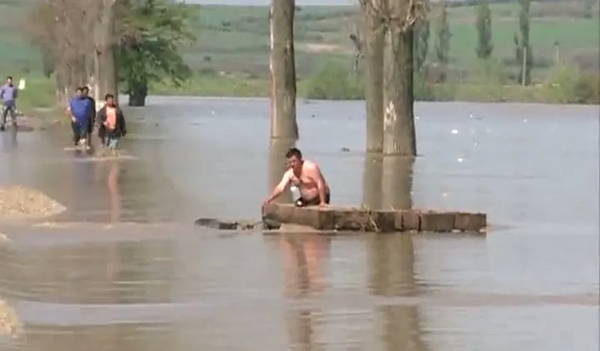 Disperare maximă: Romii din Teleorman adună lemnele aduse de viitură VIDEO
