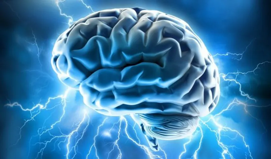 Corpul uman: 10 descoperiri fabuloase despre creier