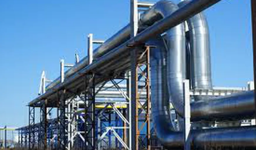 Piaţa gazelor pentru industrie va fi liberalizată până la 31 decembrie 2015