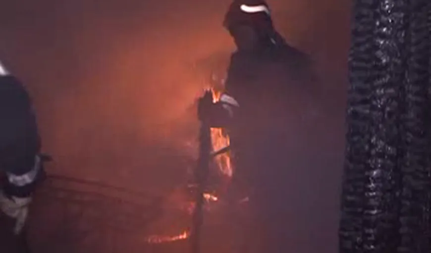 Incendiu violent în Neamţ. Mai multe animale au ars de vii