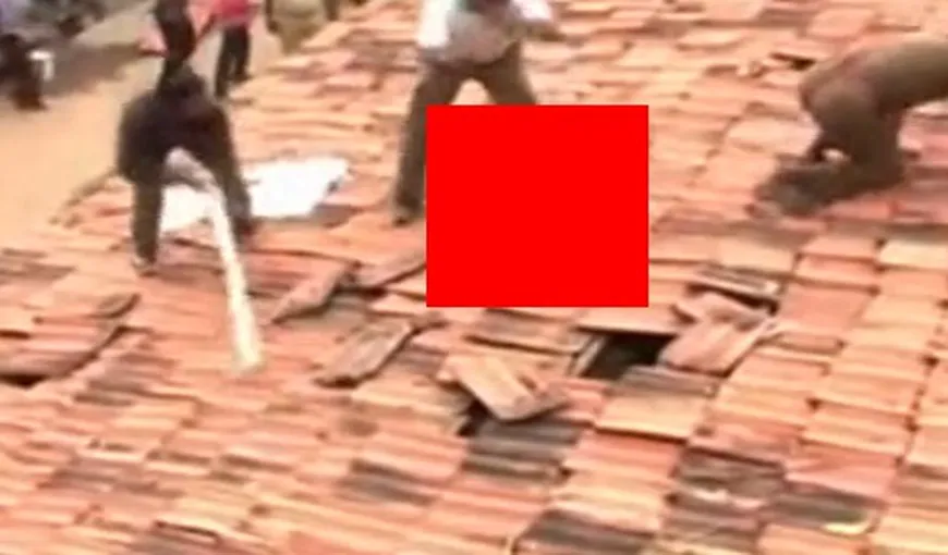 Scene incredibile filmate în India: Un LEOPARD ÎNFOMETAT, ajuns pe un acoperiş, atacă oamenii VIDEO