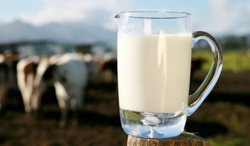Ce beneficii aduc laptele şi brânzeturile
