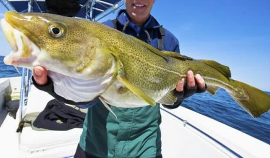 Un pescar norvegian a găsit o SURPRIZĂ în burta unui peşte. A devenit celebru în întreaga lume