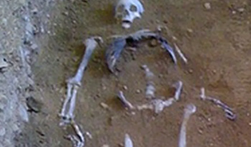 Rămăşiţe umane, descoperite pe o plajă în Florida. Ar putea fi ale jurnalistului român dispărut