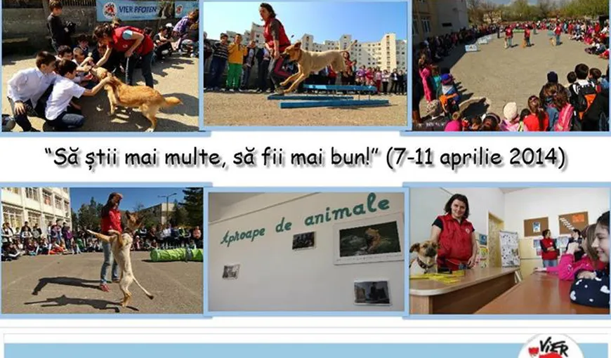 Şcoala Altfel: Câinii de terapie de la Vier Pfoten se vor întâlni cu elevii şcolilor din Bucureşti