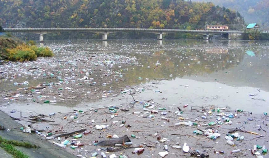 Golful Cerna e poluat cu deşeuri, resturi menajere şi PET-uri
