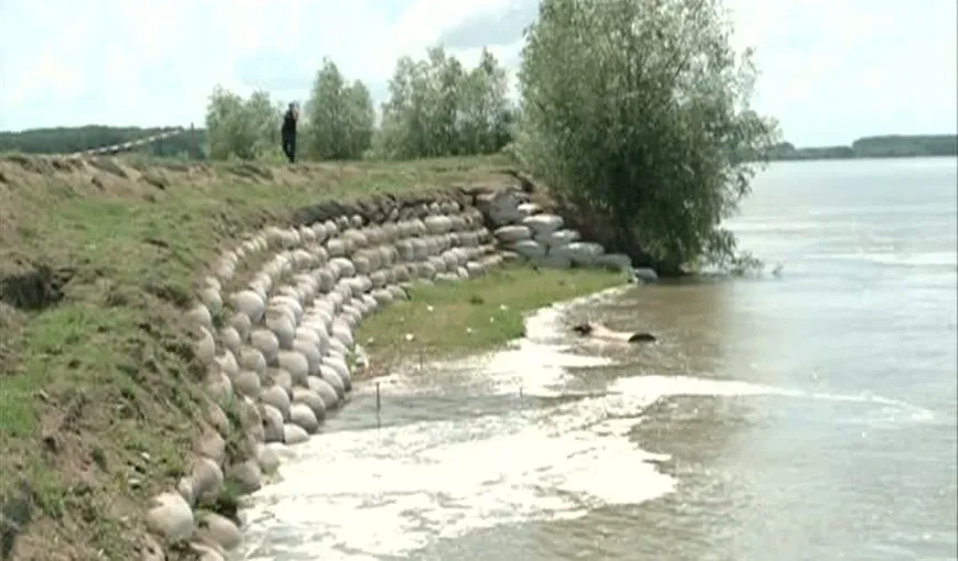 Intervenţie de urgenţă pe Dunăre, la DIGUL FISURAT de la Feteşti