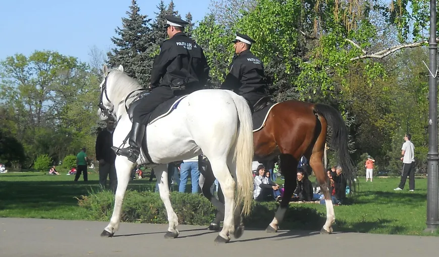 O pungă cu peste 39.000 de lei, găsită de poliţiştii locali în parcul Herăstrău