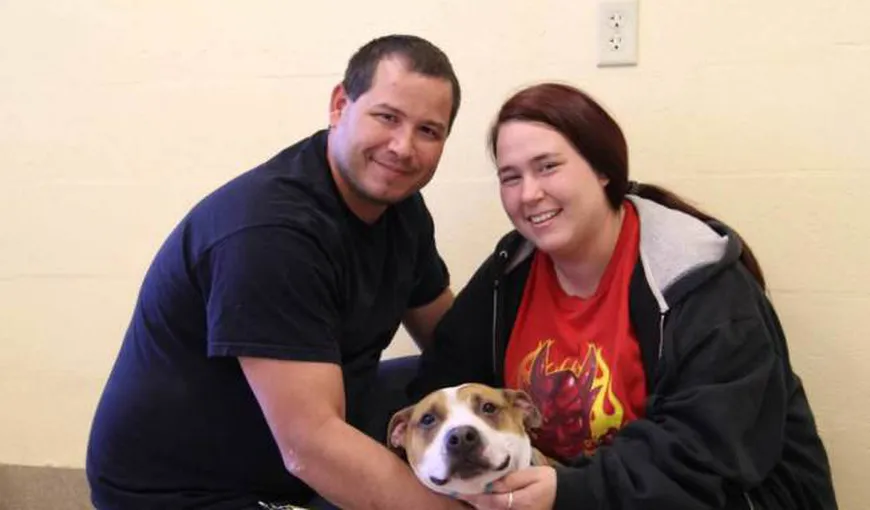 Coincidenţă incredibilă: Ce a păţit un cuplu care şi-a pierdut câinele în timpul uraganului Sandy din 2012