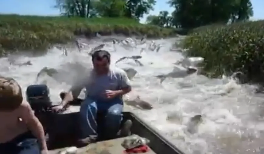 Visul oricărui pescar: Nu au folosit undiţe, dar barca s-a umplut de peşte pe nesimţite VIDEO