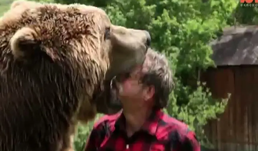Curaj extrem: Un bărbat îşi bagă capul în gura unui urs VIDEO