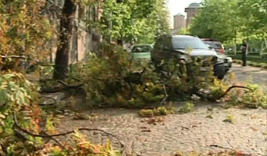 FURTUNI PUTERNICE în Capitală şi în ţară: Maşini avariate de copacii doborâţi de vânt VIDEO