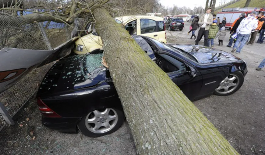 Veşti proaste: Proprietarii maşinilor avariate de copacii doborâţi de furtuni nu vor mai fi despăgubiţi VIDEO