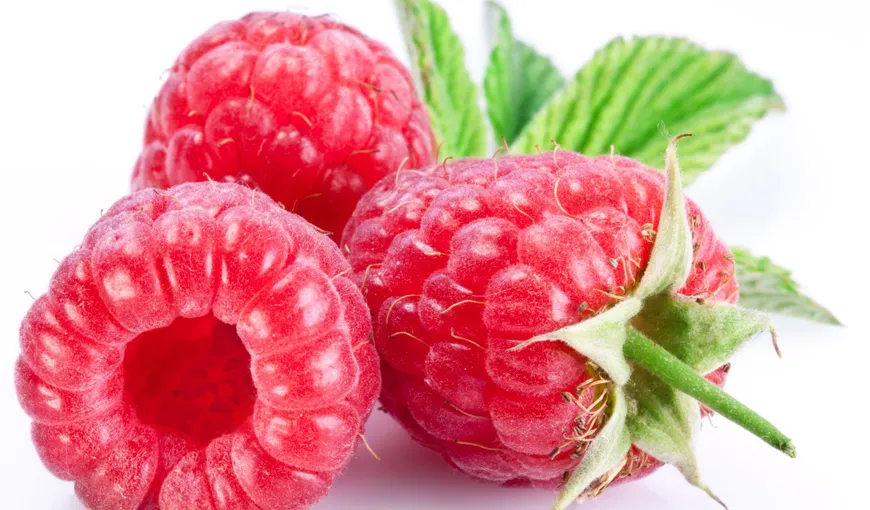 Zmeura, un fruct aromat şi sănătos: Ţine cancerul la distanţă şi previne îmbătrânirea
