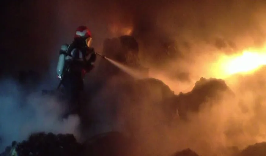 Incendiu PUTERNIC lângă Combinatul Arpechim, în Piteşti VIDEO