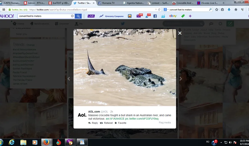 Confruntarea TITANILOR. La 80 de ani, crocodilul BRUTUS se luptă cu un rechin, pe viaţă şi pe moarte FOTO