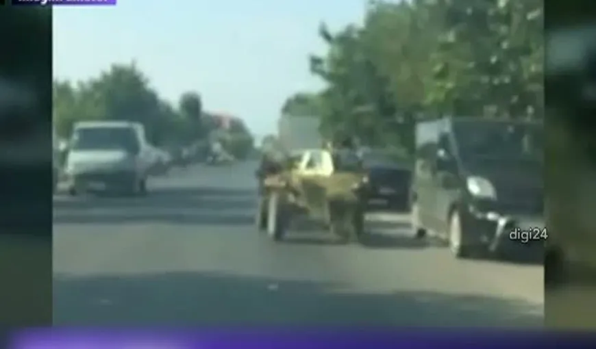 Un cal a făcut PRĂPĂD în Târgovişte. Animalul a distrus ŞAPTE maşini VIDEO