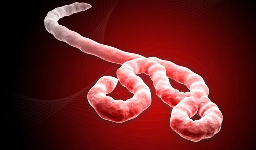 Unul dintre cei doi americani infectaţi cu virusul Ebola a fost adus în Statele Unite