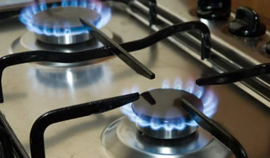 Preţurile gazelor naturale din producţia internă plătite de populaţie nu vor creşte până la 1 iulie 2015