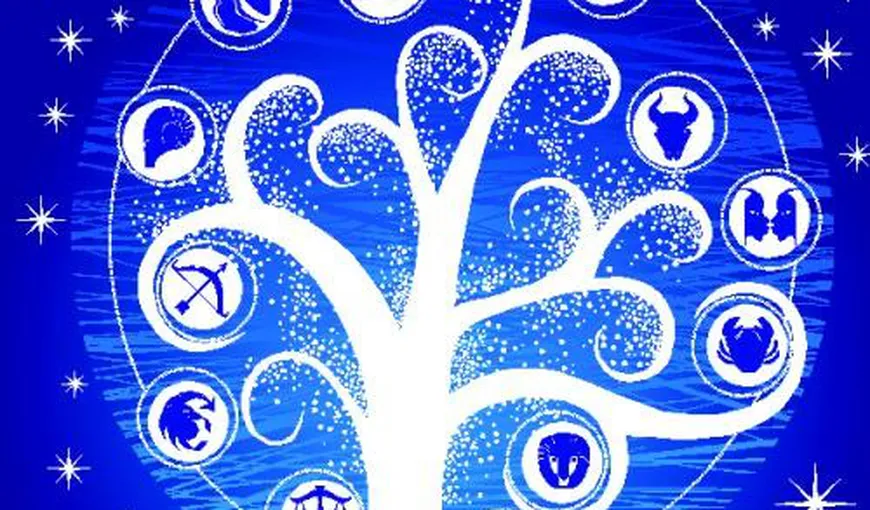 Horoscop arboricol: Tu ce copac eşti?