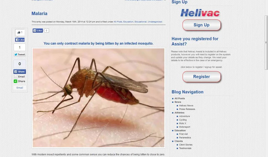 Remedii naturale împotriva pişcăturilor de ţânţari