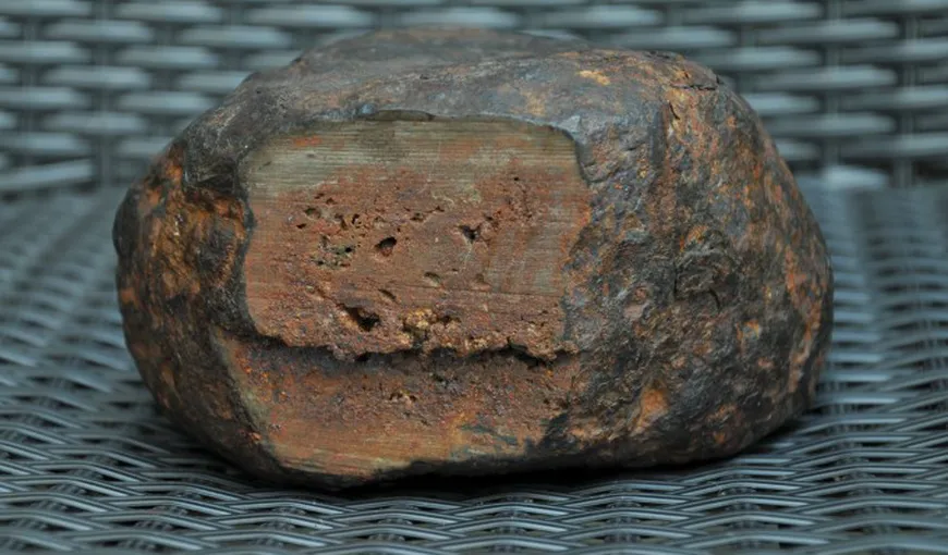 O familie din Petroşani a descoperit o comoară de 400 de milioane de lire sterline în grădină