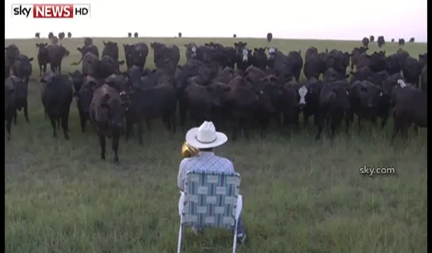 Metoda INEDITĂ a unui fermier cu ajutorul căreia îşi adună cireada cât ai clipi VIDEO