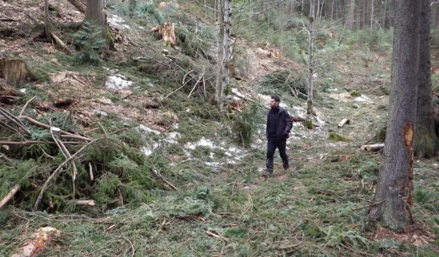 O bătrână dispărută într-o pădure din Argeş, găsită după mai multe ore de căutări