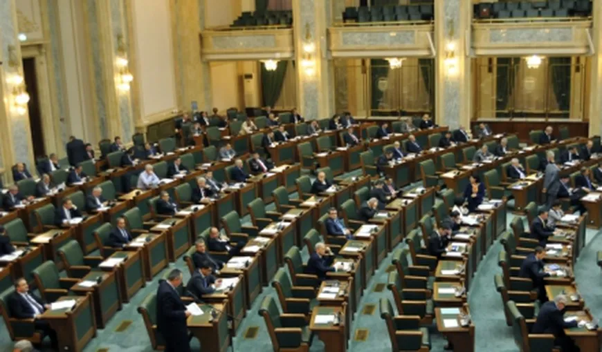 DOSARUL MICROSOFT: Senatorii jurişti au termen 15 zile pentru a întocmi raport în cazul Andronescu-Mihăilescu