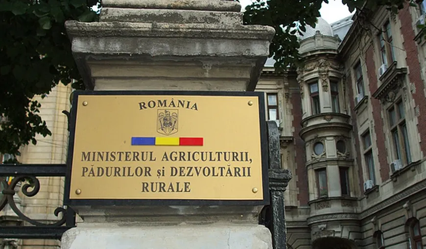 MADR: România nu susţine plafonarea plăţilor directe şi cofinanţarea din surse naţionale a sumelor plătite pe suprafaţa agricolă