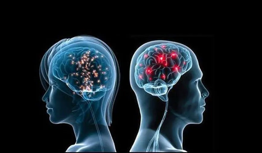 Corpul uman: Diferenţe dintre creierul femeii şi al bărbatului