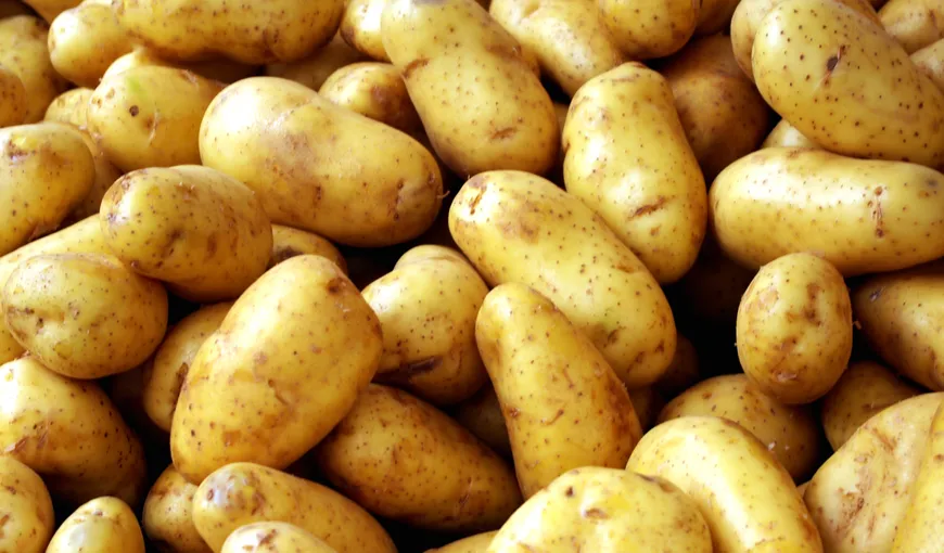 Cartofii albi versus cei roşii: Care sunt mai sănătoşi
