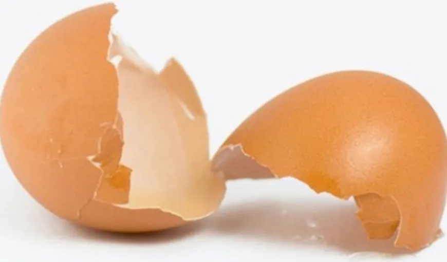 Ce se întâmplă dacă pui coji de ouă într-un săculeţ în maşina de spălat