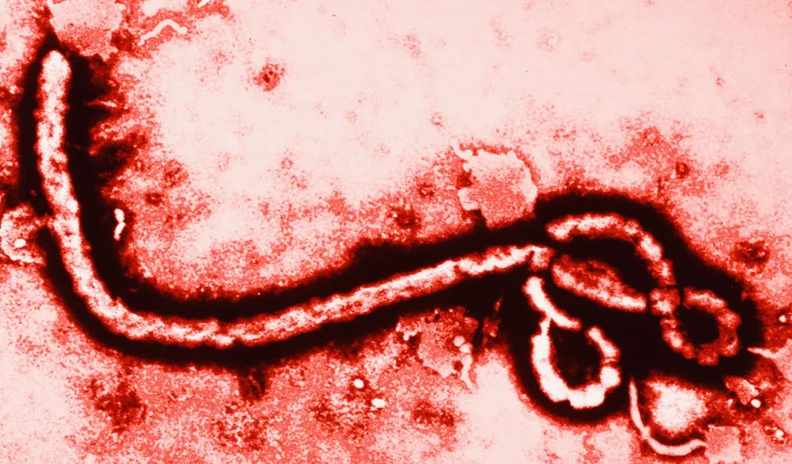 ALERTĂ MAE: Şase ROMÂNI, „posibil” ÎN PERICOL de infestare cu virusul Ebola – UPDATE