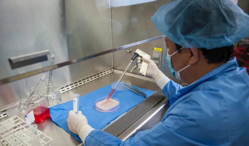 Cercetătorii au realizat primele PENISURI în laborator: Organele sunt realizate din celulele pacientului