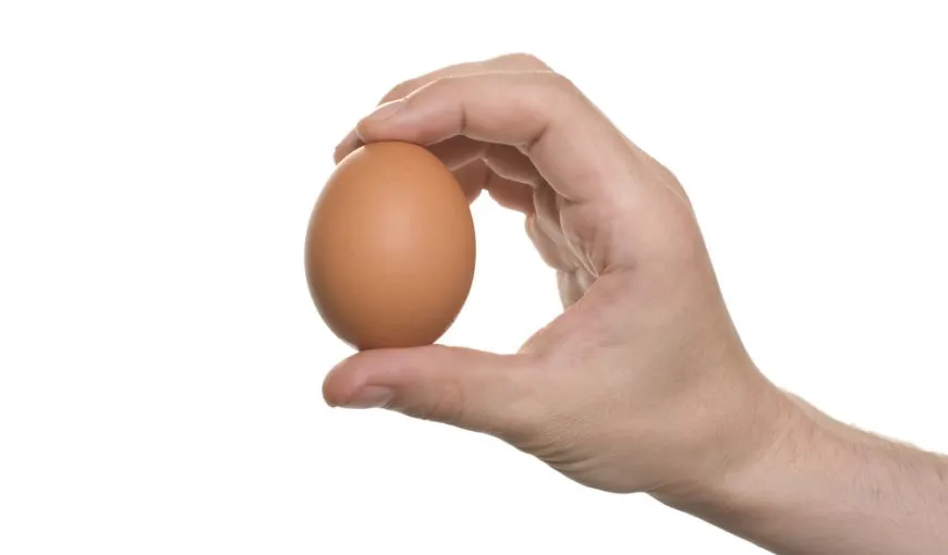 Provocarea Youtube: Nimeni nu poate să spargă  AŞA un banal ou. VIDEO. Tu poţi?