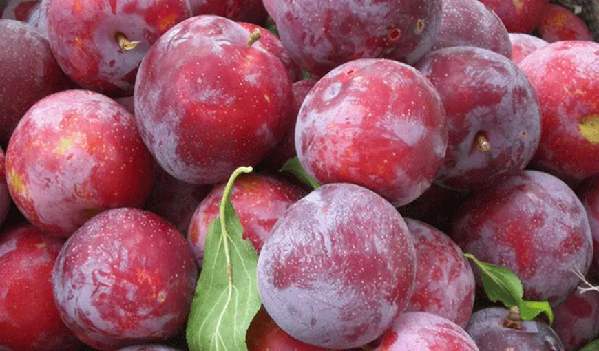 Motive pentru care trebuie să mănânci multe prune